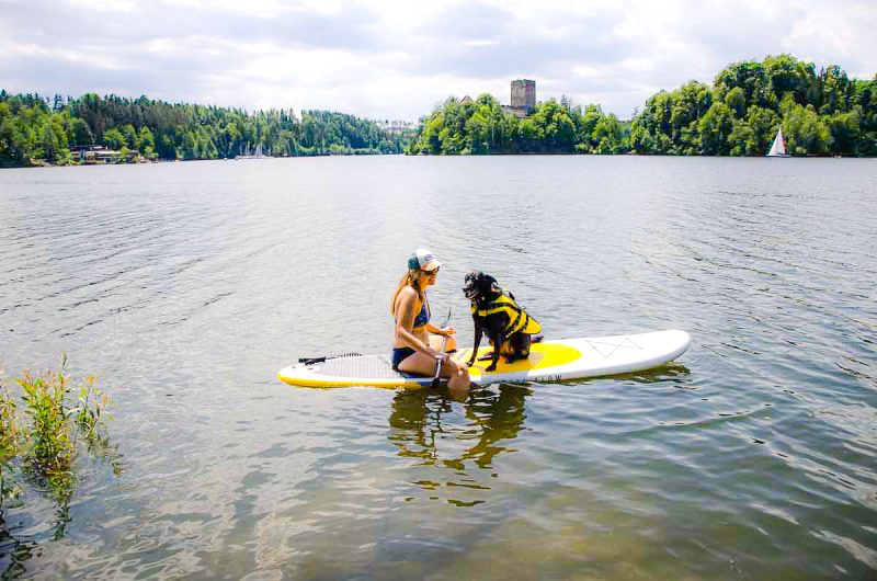 SUP mit Hund Ottensteiner Stausee