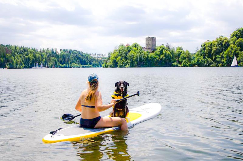 SUP mit Hund im Sitzen Stand Up Paddle