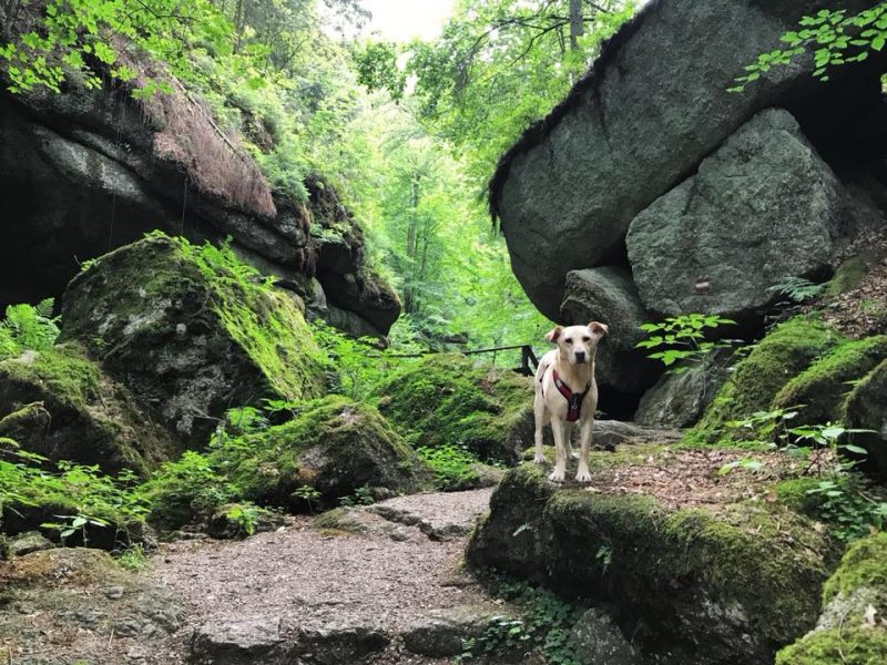Grüne stillensteinklamm