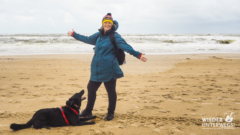 Holland Tipps mit Hund am Strand