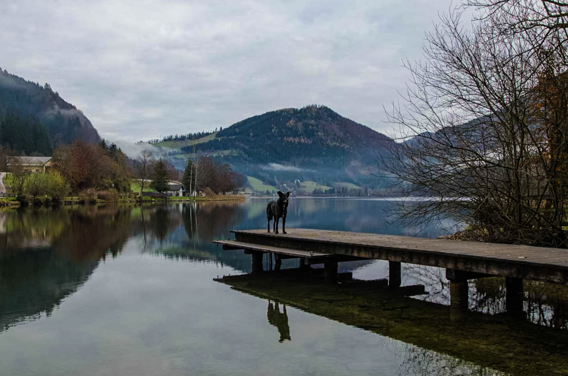 Wanderung Lunzer See auf den Maiszinken