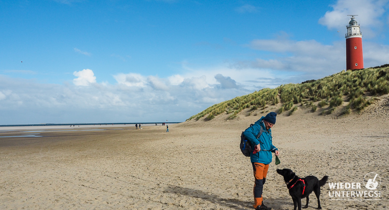 Texel mit Hund im norden am strand beim Leuchtturm