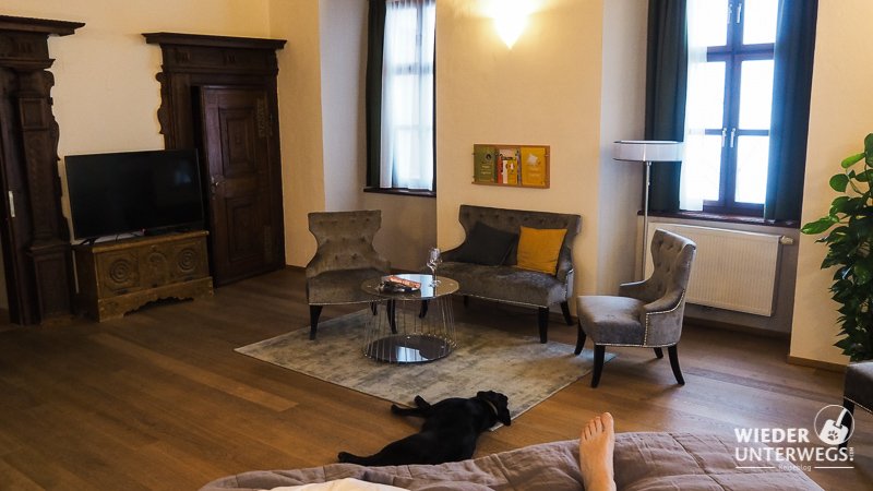 suite admont jufa mit hund
