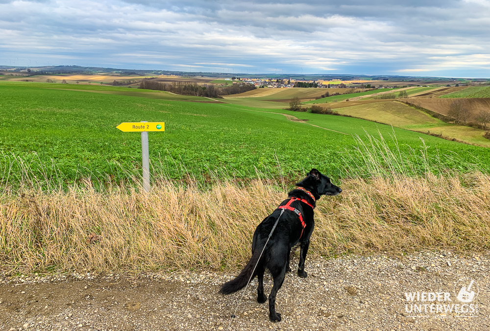 wanderweg bad pirawarth