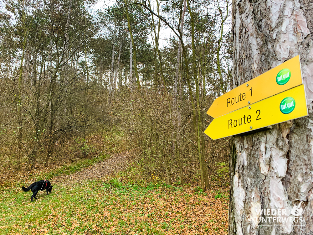 tut gut wanderweg bad pirawarth