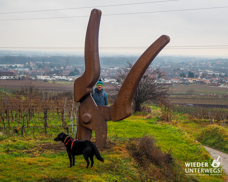 REbenschere Weinweg Loisium