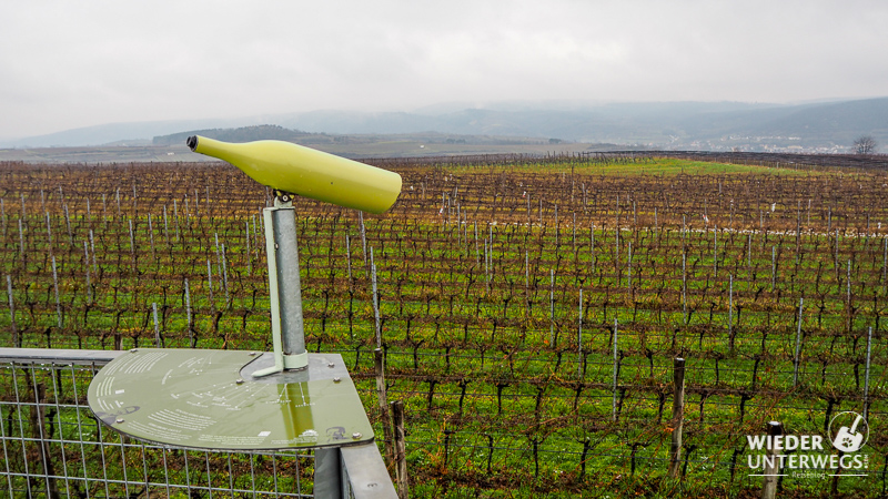 fernrohr weinweg langenlois