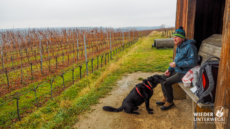 Pause am Weinweg Langenlois