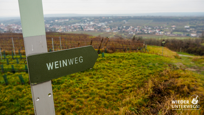 weinweg langenlois winterwanderung in niederösterreich