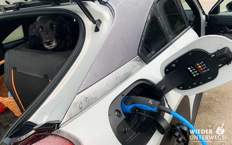 Ladevorgang EVN Ladesäule im Elektromazda mit Hund