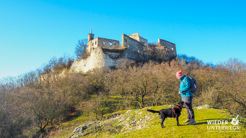 burgruine falkenstein wandern