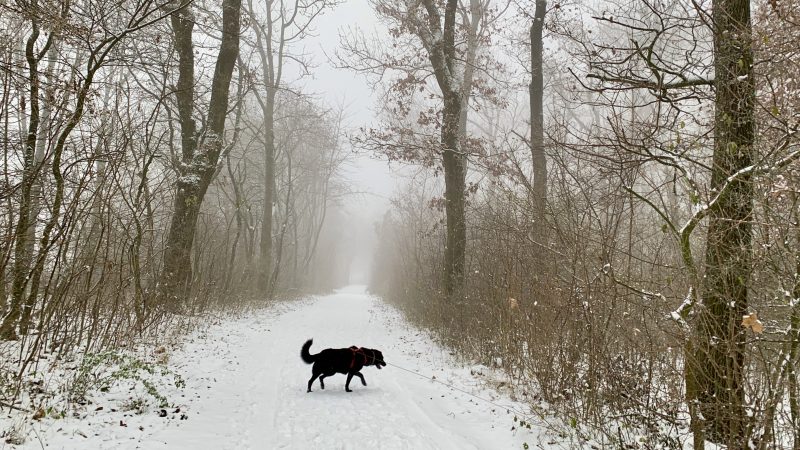 wandern stadtwanderweg winterwanderweg niederösterreich bisamberg