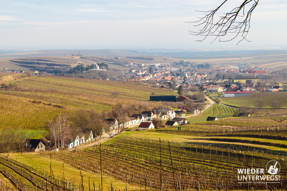 Mailberg Rosenpoint Kellergasse