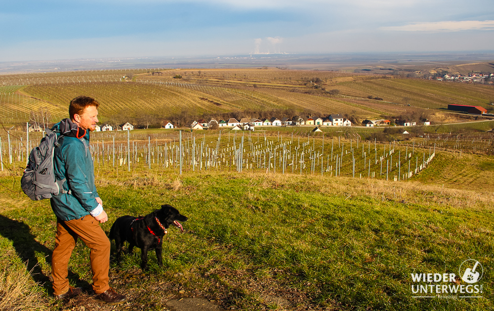 Mailberg Weinwanderweg