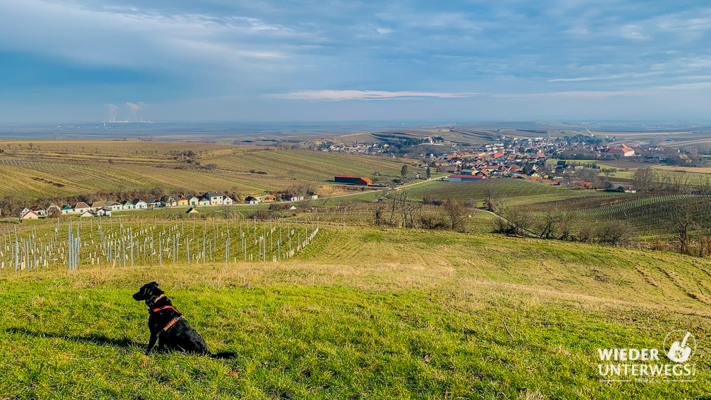 ausblick mailberg und kellergasse