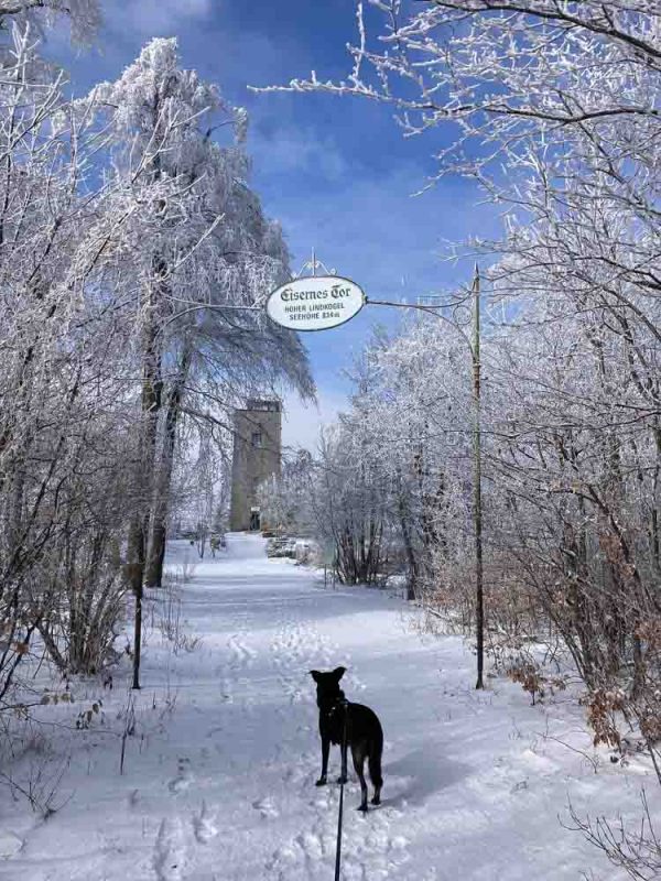 Eisernes Tor Lindkogel ausflug auf der hohen wand winter mit hund nö card