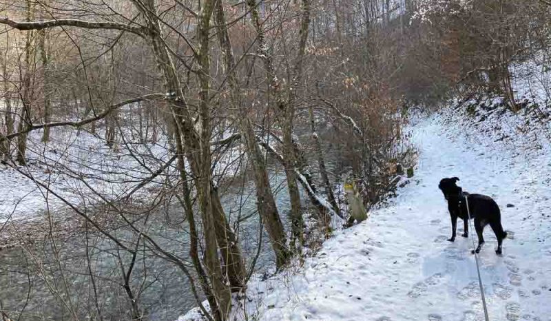 Entlang der Schwechat lindkogel
