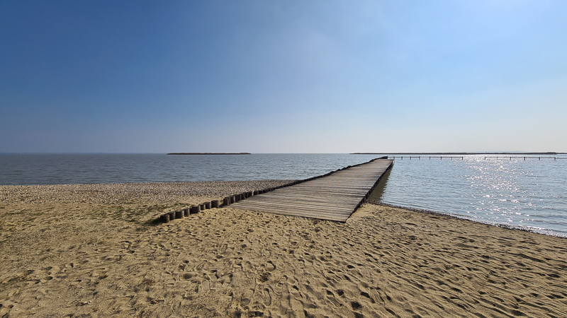 Neusiedler See Frühling