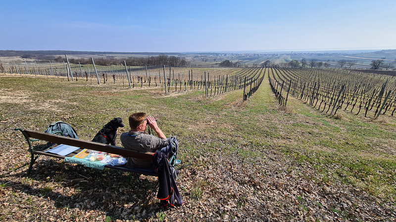 Ausblick Weinlehrpfad Jois