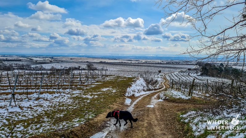 wanderung großriedenthal hinab