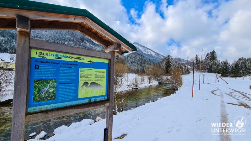 fischlehrpfad schwarzau