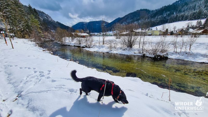 schwarzau im gebirge am flus