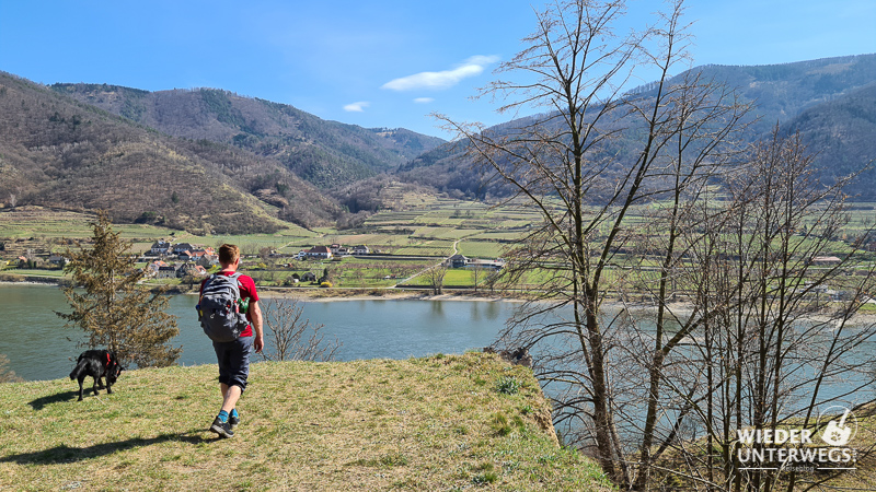 wiese auf der wanderung nach st. michael von spitz aus