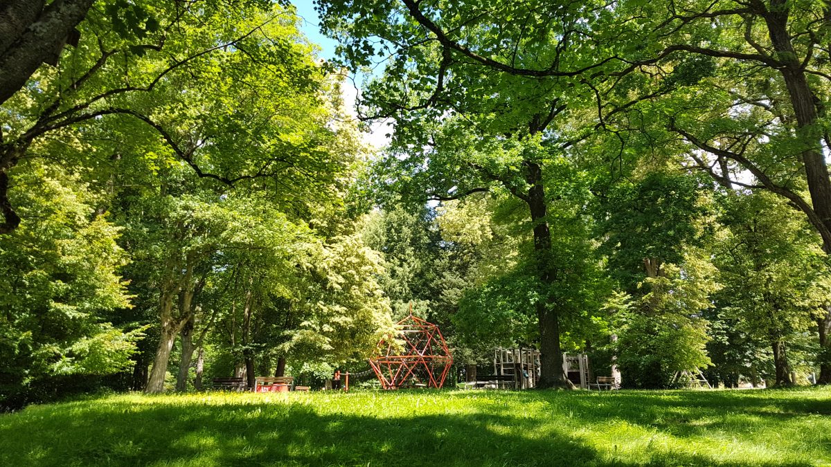 wald kurpark bad hall