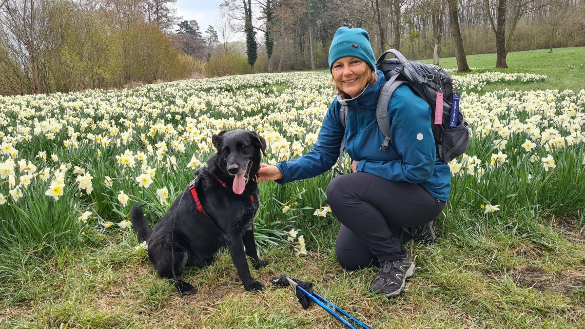 eckartsau wandern mit hund narzissen