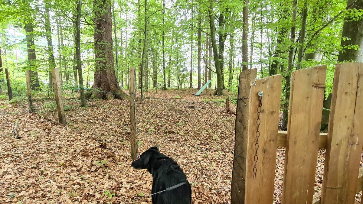 hundeauslaufzone wörthersee europarcs