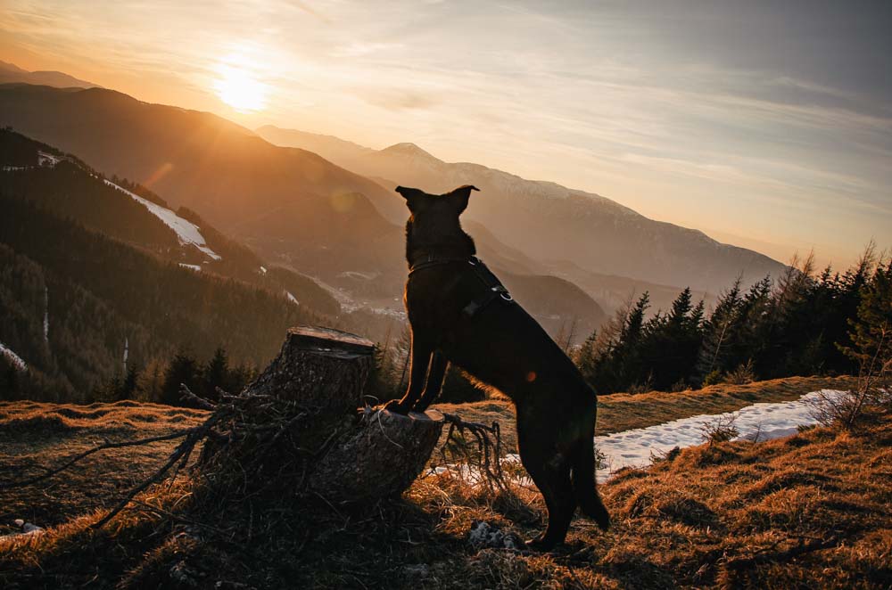 Sonnernuntergang Hochalmweg Semmering