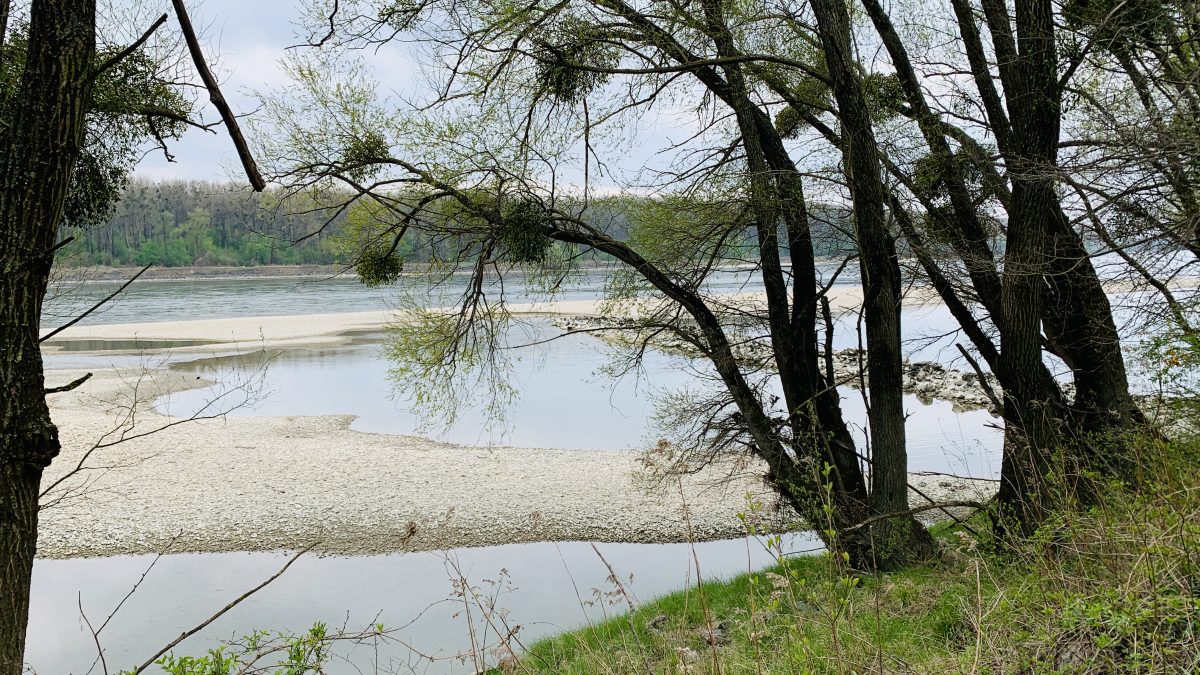 donauauen strand