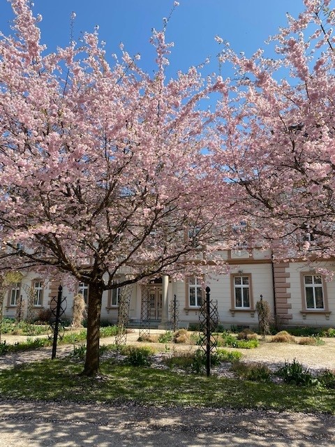 bad hall kurpark japanische kirche
