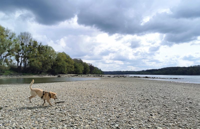 nationalpark donauauen