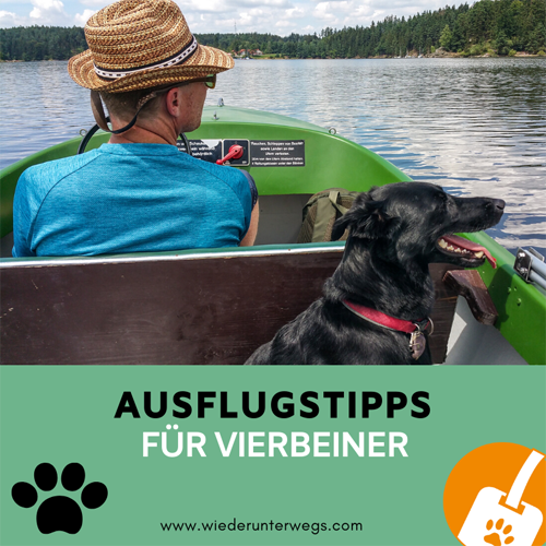 ausflugstipps österreich hund