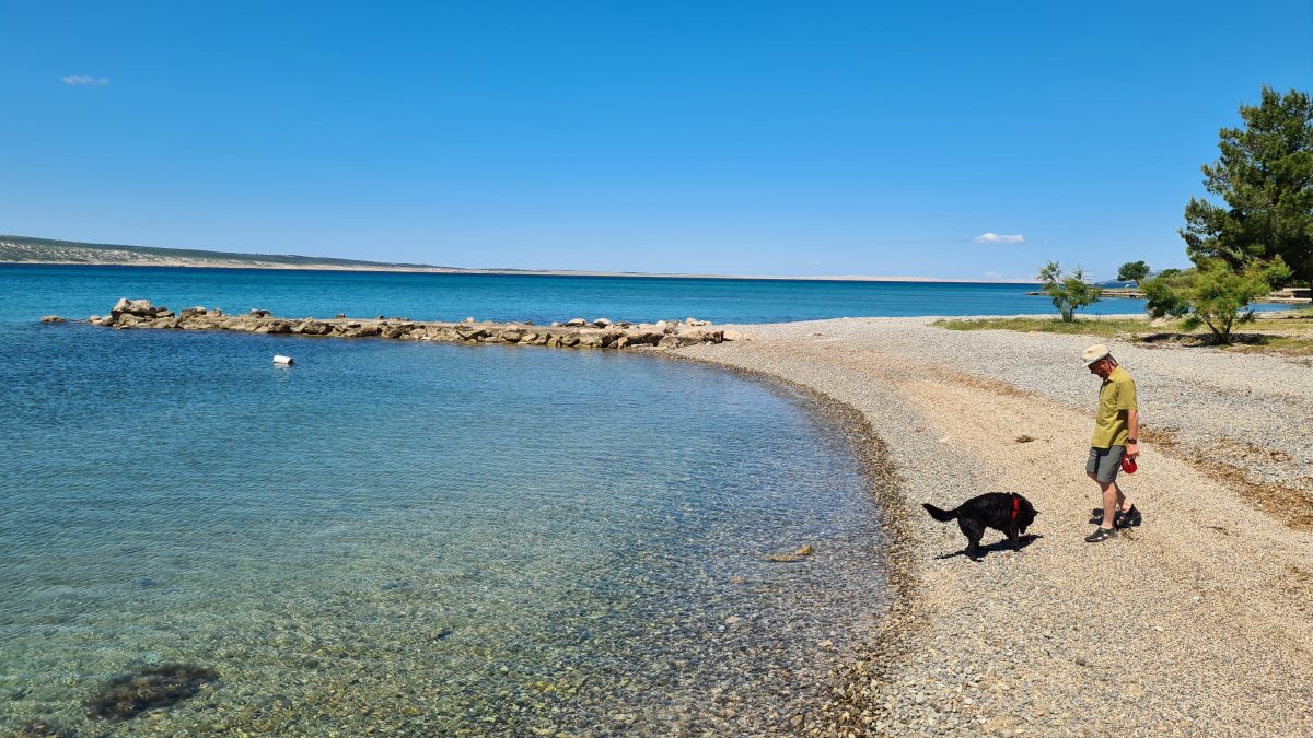 Strand paklenica mit hund spielen