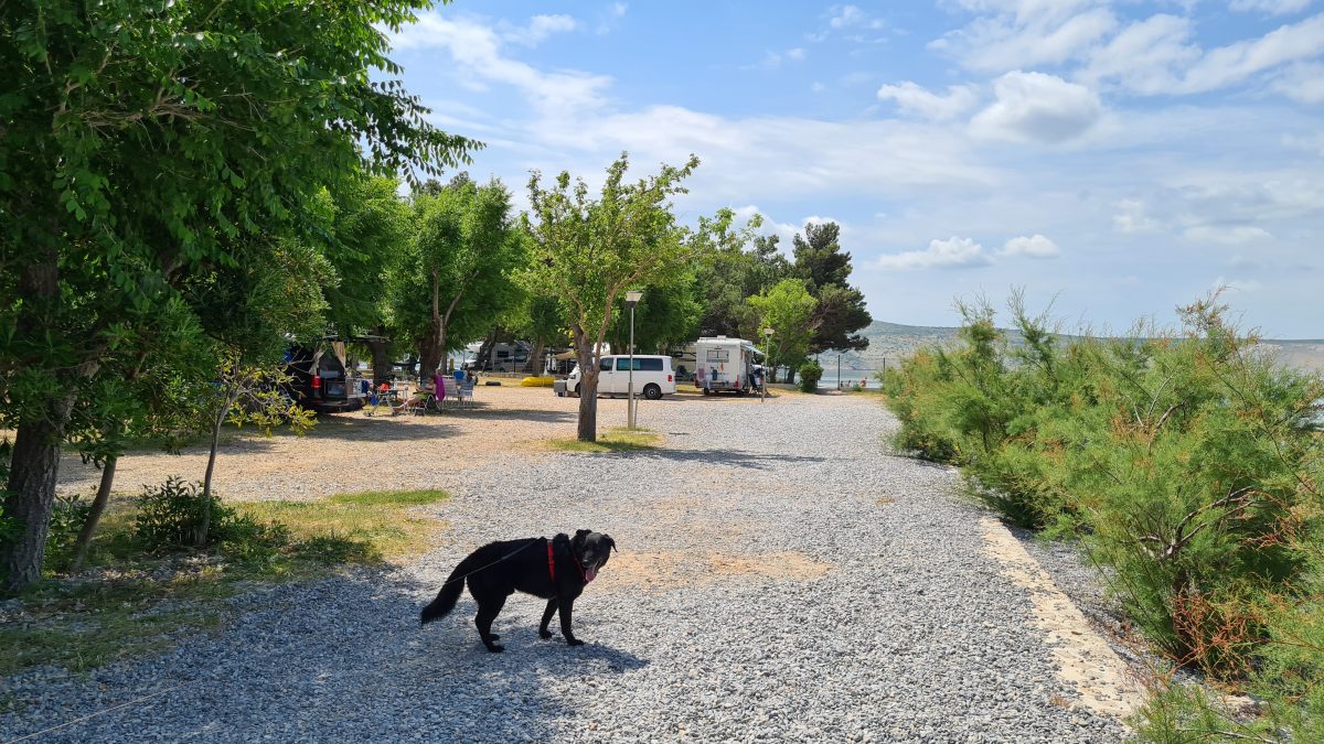 campingplatz nationalpark paklenica