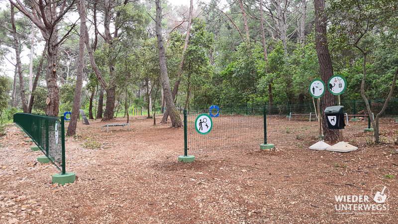 Dog Agility Zone Cikat Camping