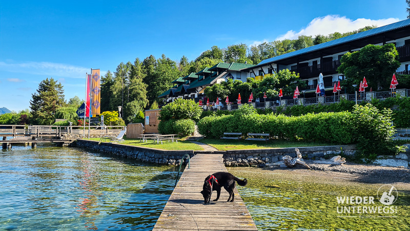 hoisnwirt steg traunsee waldness mit hund