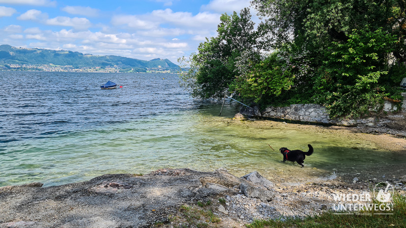 bundesforste badeplatz traunsee