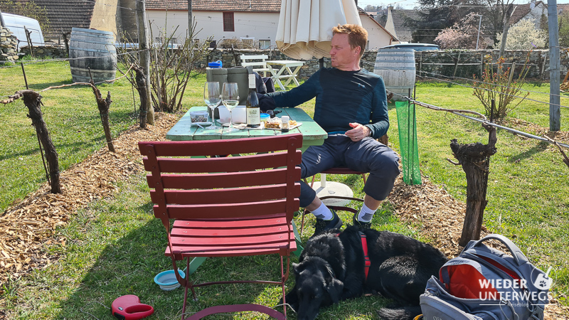 kamptal bründlmayer picknick mit hund