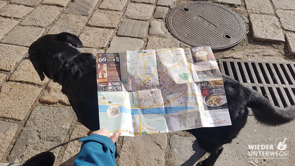 mit hund in bratislava