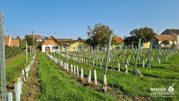 kellergasse feuersbrunn