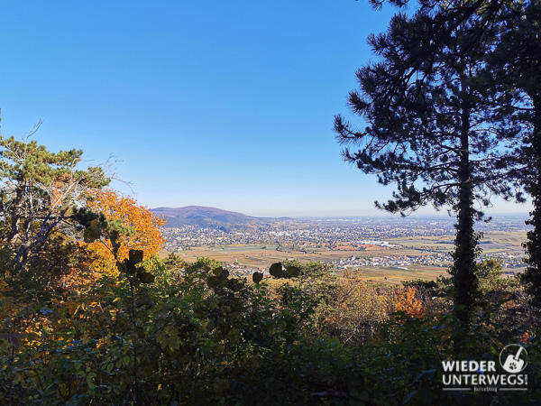 Ausblick wanderung bad vöslau