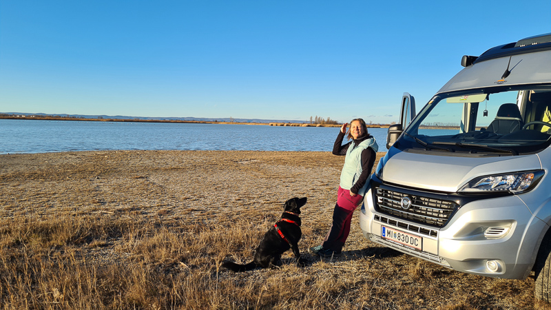 seewinkel burgenland campingbus carado cicero am see parken