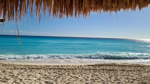 playa delfines cancun