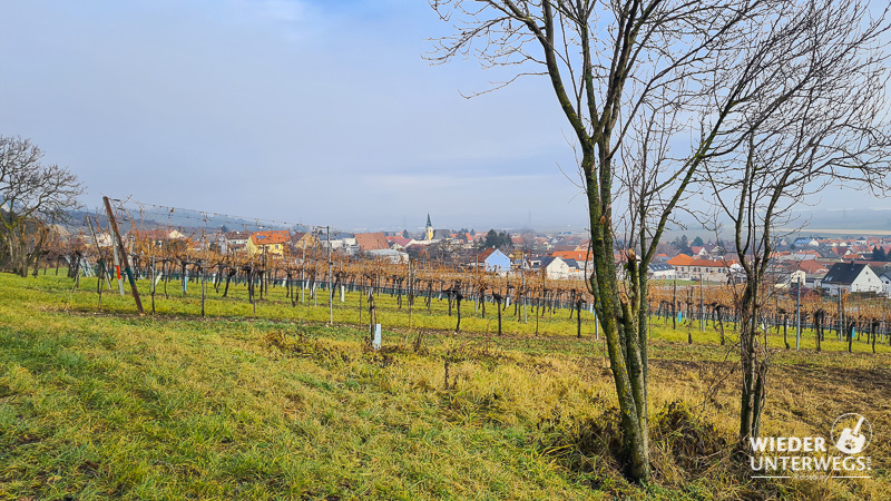 Hagenbrunn Ortsansicht im Winter ohne Schnee
