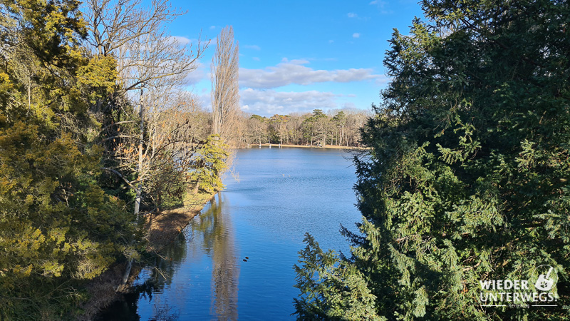 Wasser und Wald imPark von Laxenburg