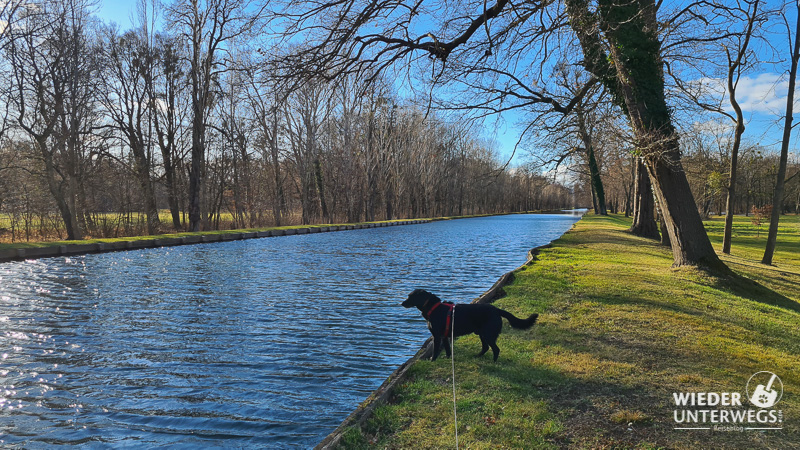 Ausblick am kanal hund schlosspark in laxenburg