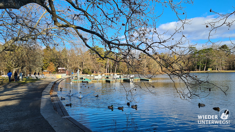 bootfahren schlosspark laxenburg